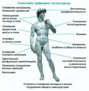 kak-povysit-testosteron-v-organizm-zhenshhiny_1